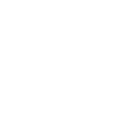 Bank Icon